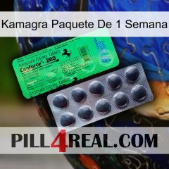 Kamagra 1 Week Pack new04